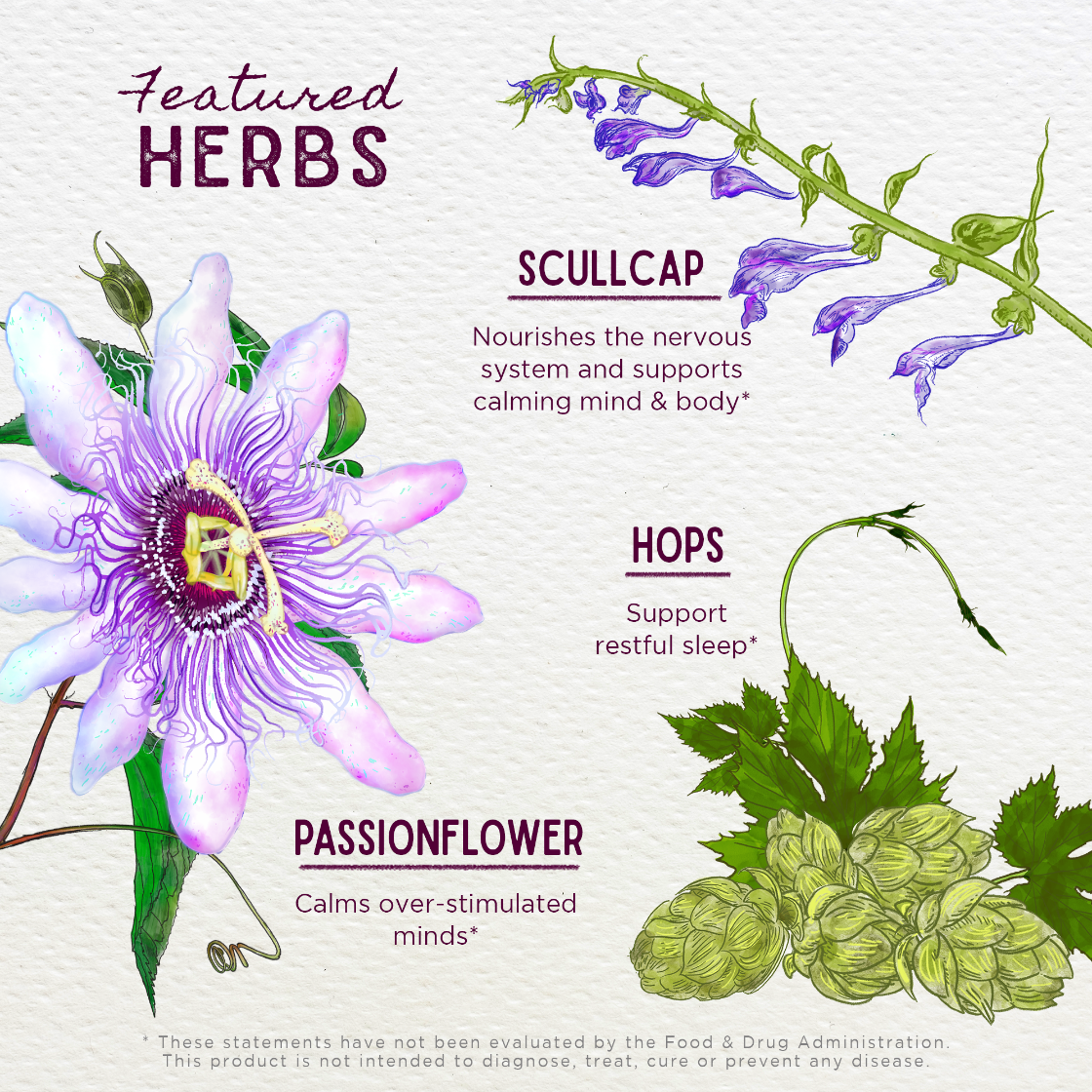 Illustration of herbs including Scullcap, Hops, and Passionflower with their benefits on a light background.