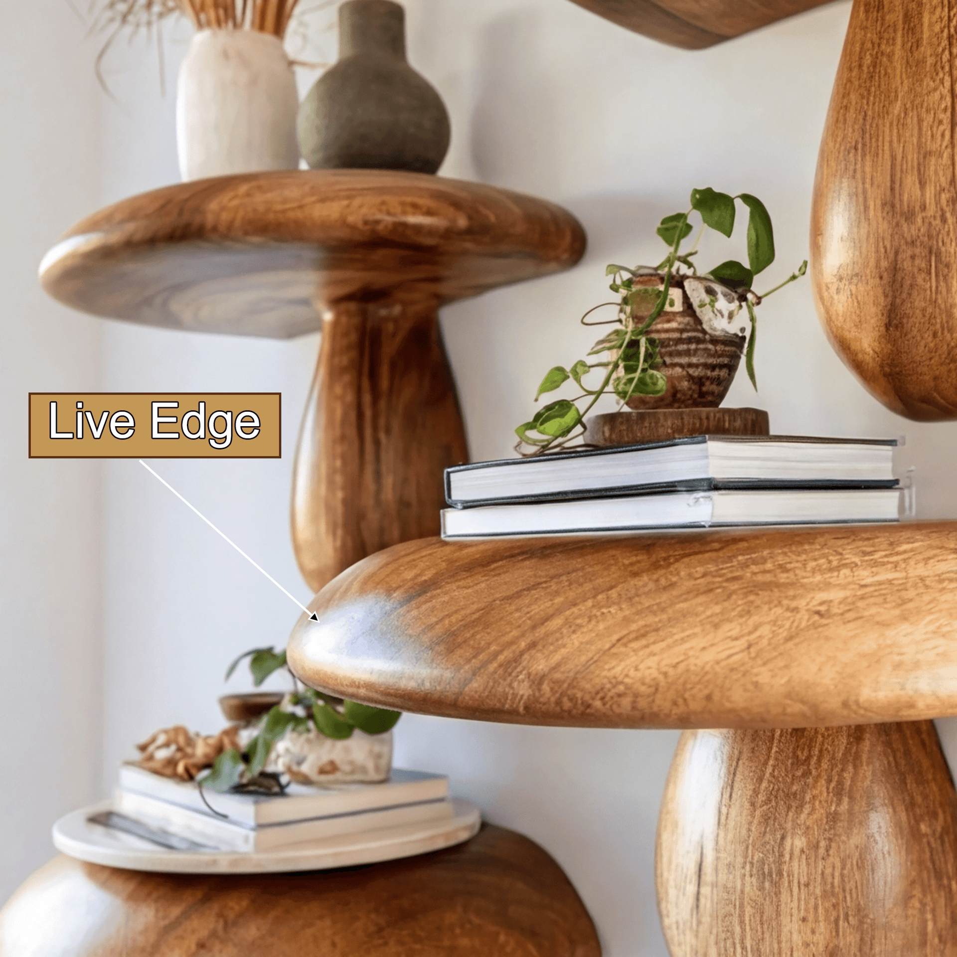 Zenvira Mushroom Solid Wood Floating Shelf SPA184760