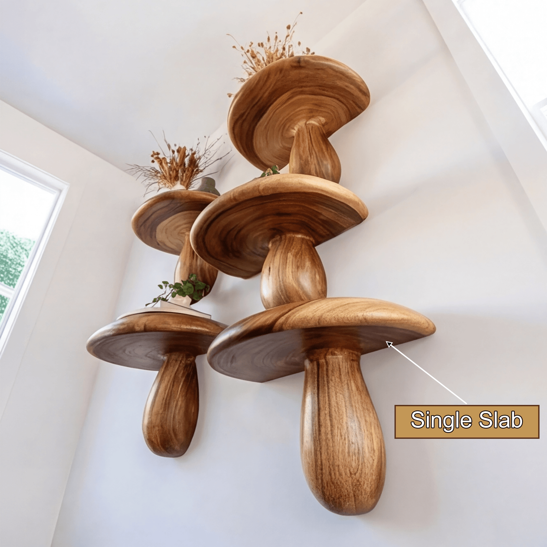 Zenvira Mushroom Solid Wood Floating Shelf SPA184760