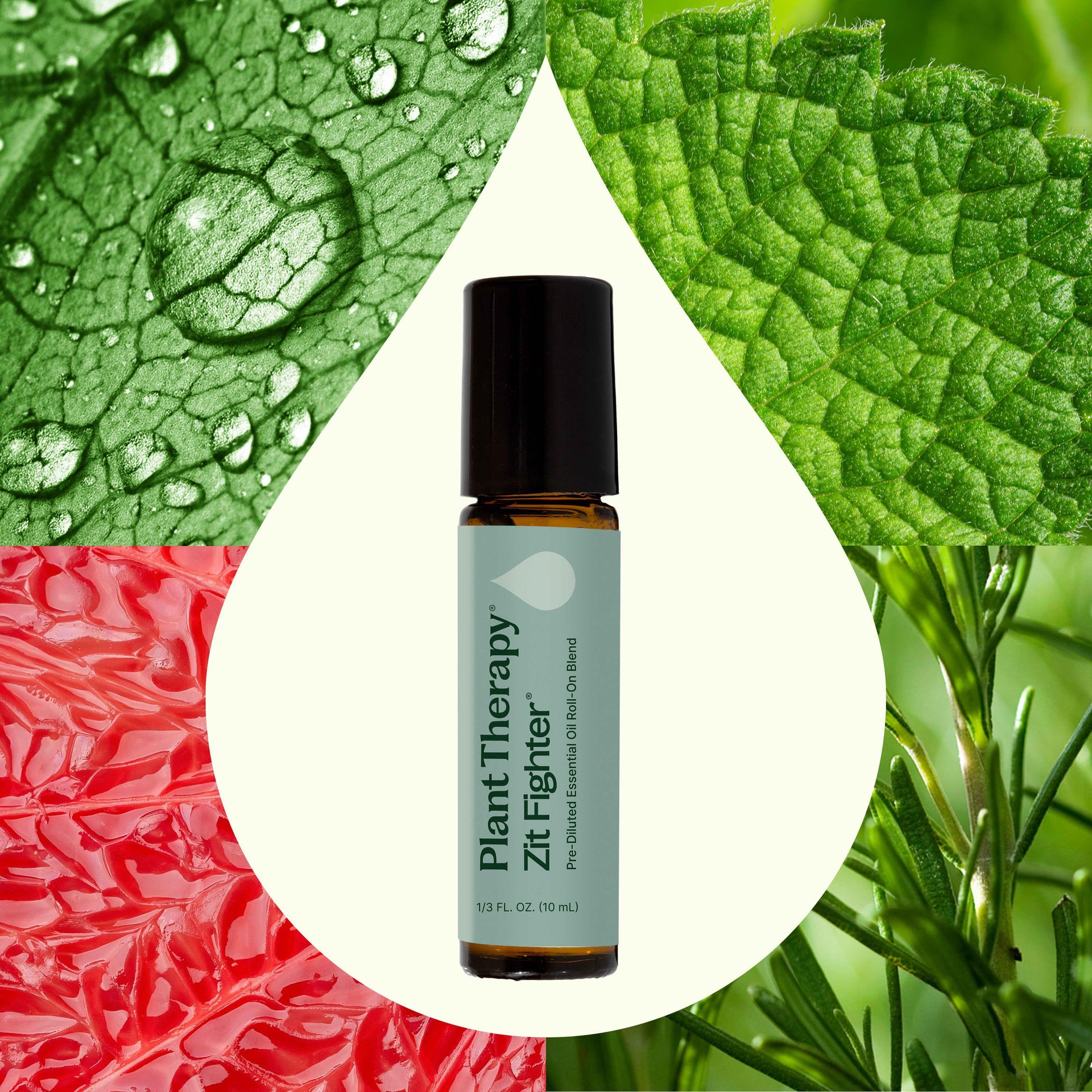 Zit Fighter Essential Oil Blend Pre-Diluted Roll-On