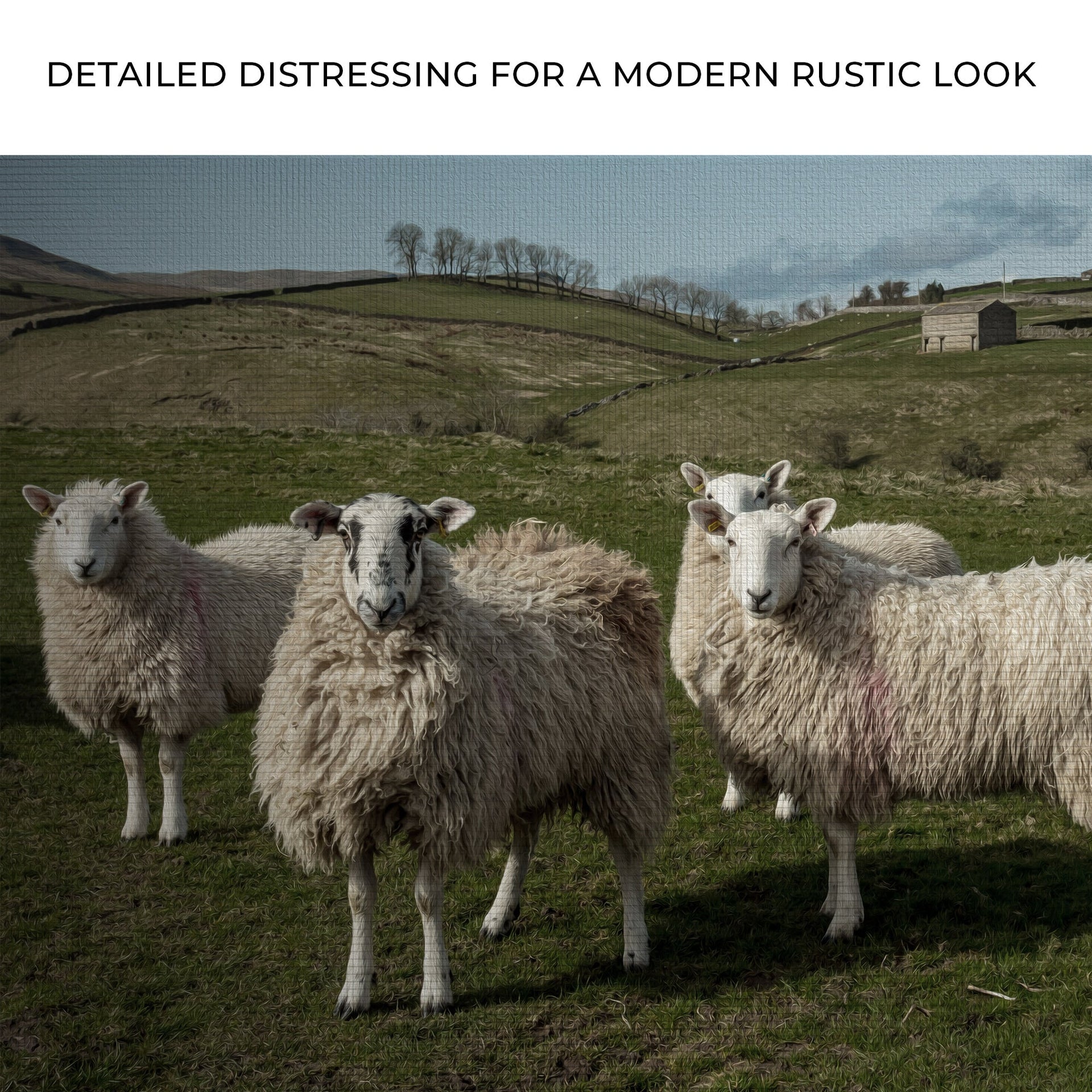 Flock Of Sheep Canvas Wall Art