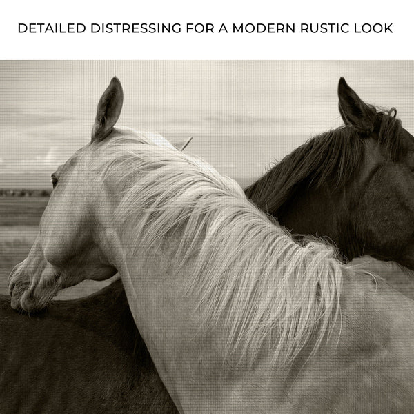 Monochrome Couple Horse Canvas Wall Art