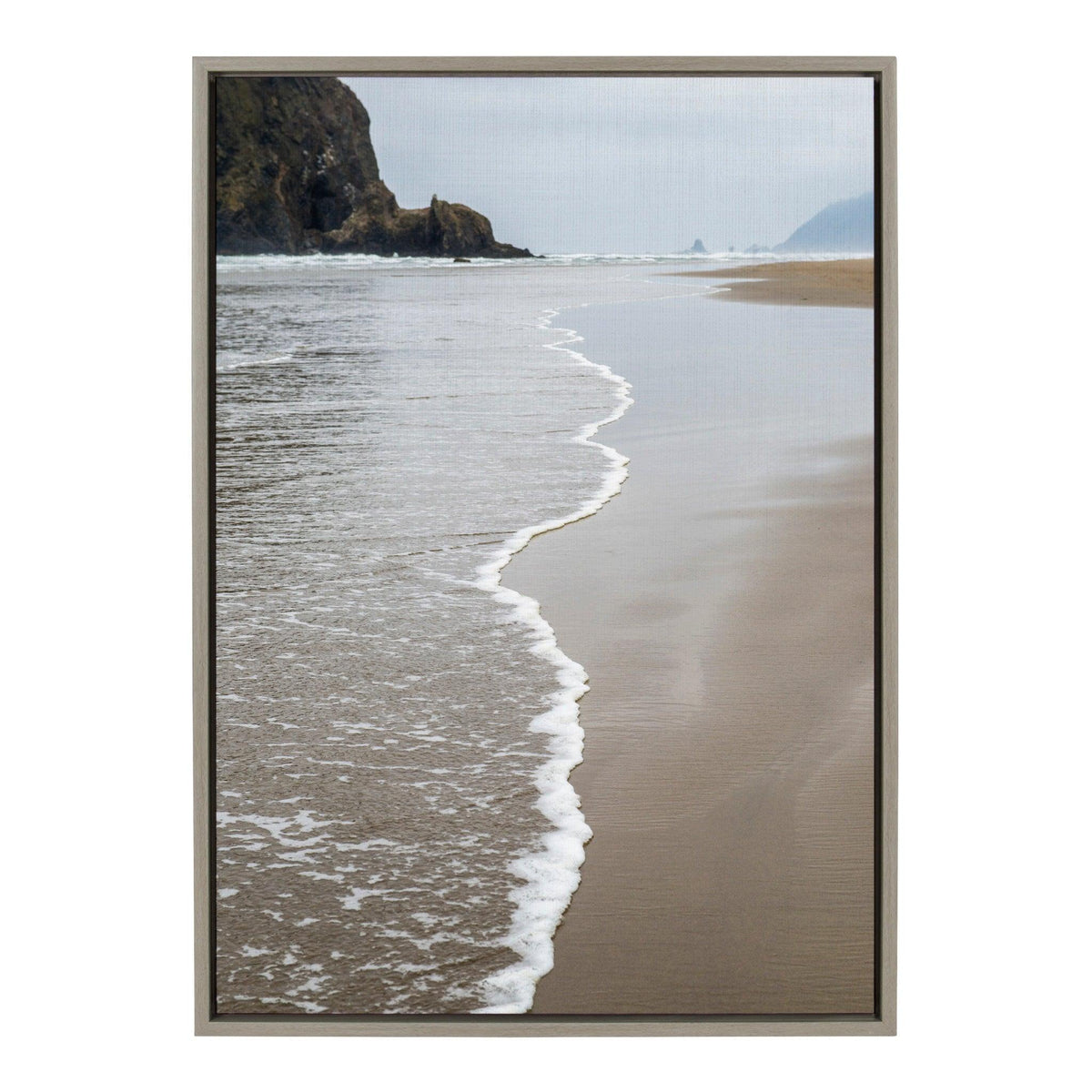 Sylvie Arrival Framed Canvas By Pete Olsen, Gray 23x33