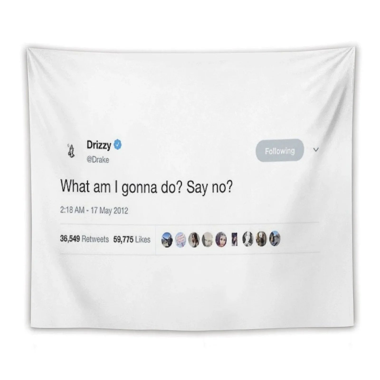 Drake - What Am I Gonna Do Say No Tweet Tapestry