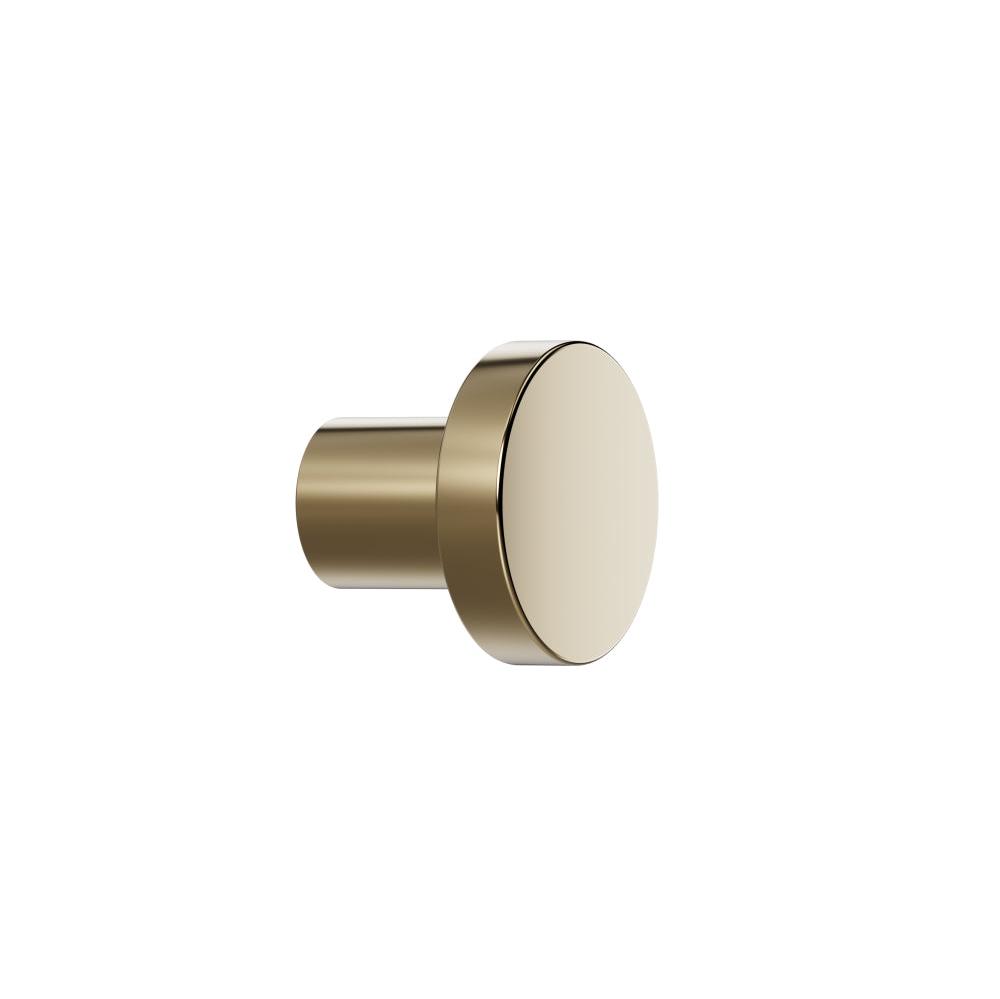 Polished Brass 