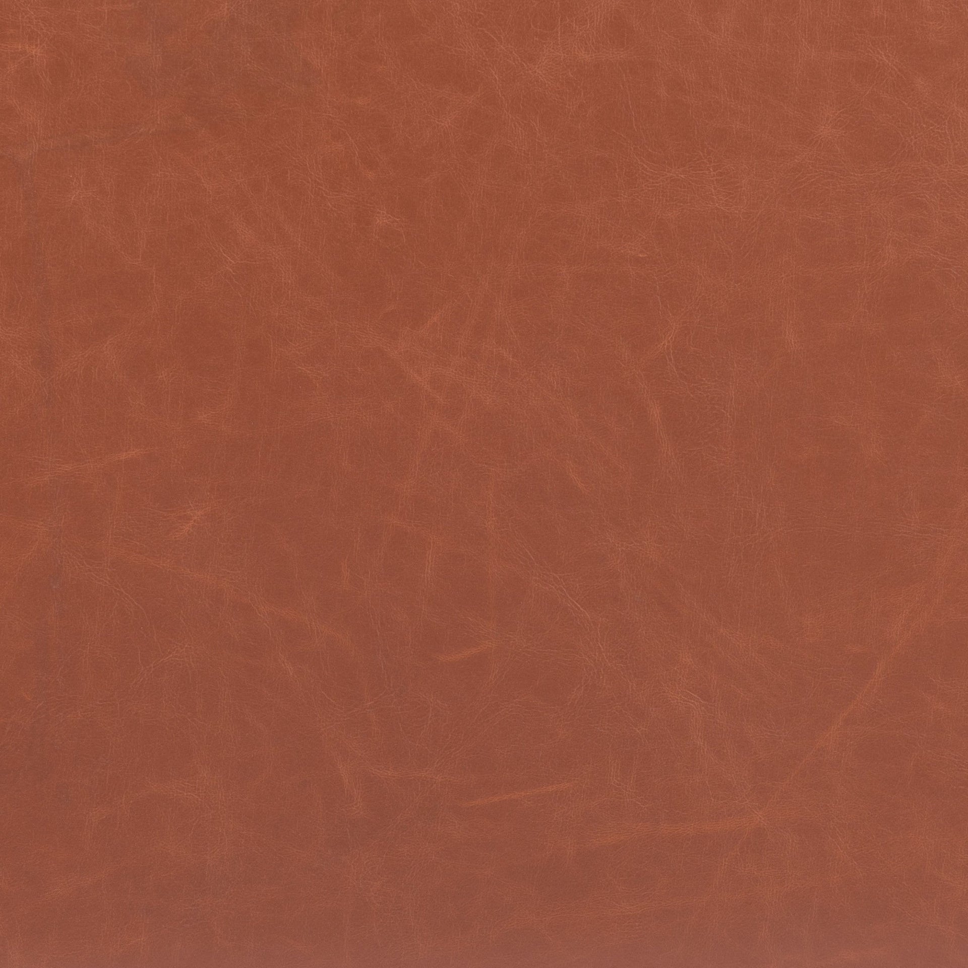 Vila Counter Stool (Set of 2) Brown