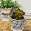 Cement Rustic Tea Cup Planter