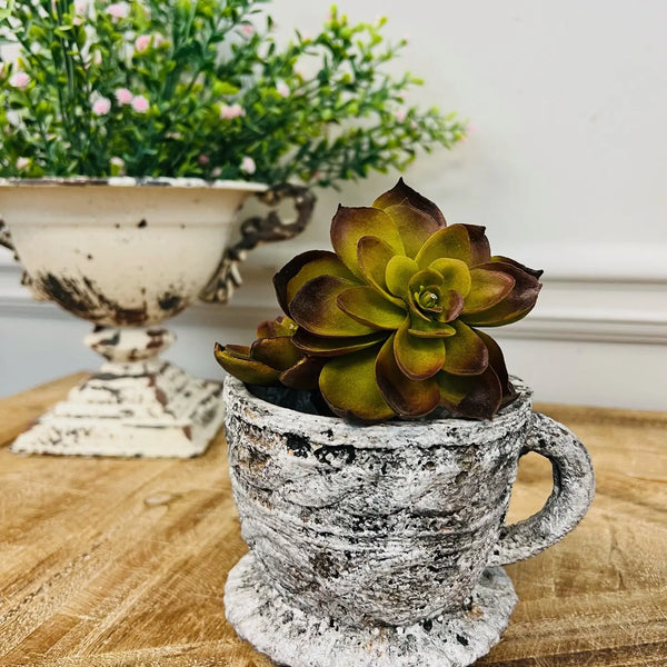 Cement Rustic Tea Cup Planter