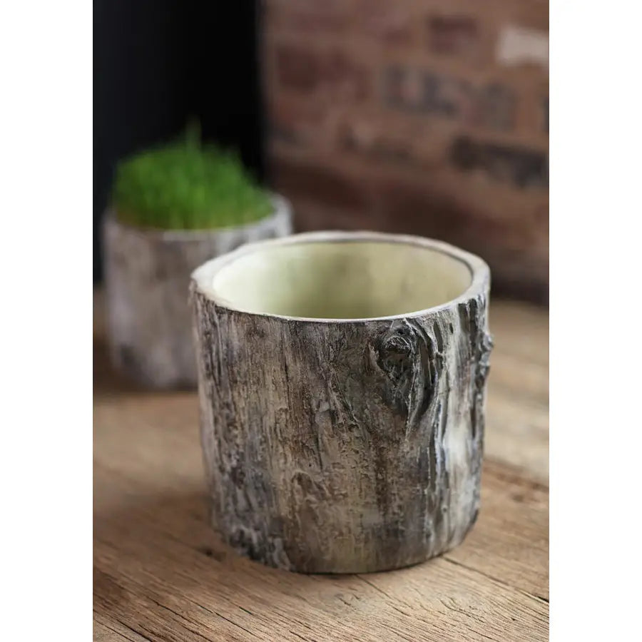Tree Trunk Planter