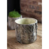Tree Trunk Planter