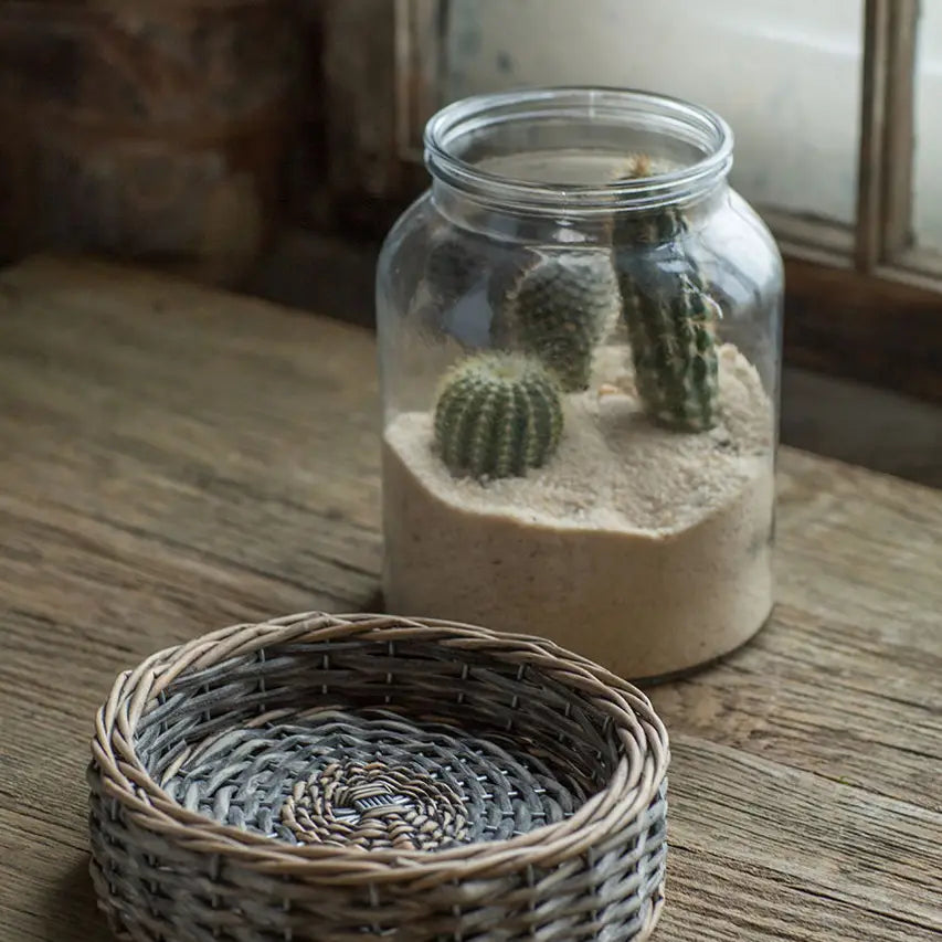 Glass and Wicker Terrarium - Cylinder VagabondVintage
