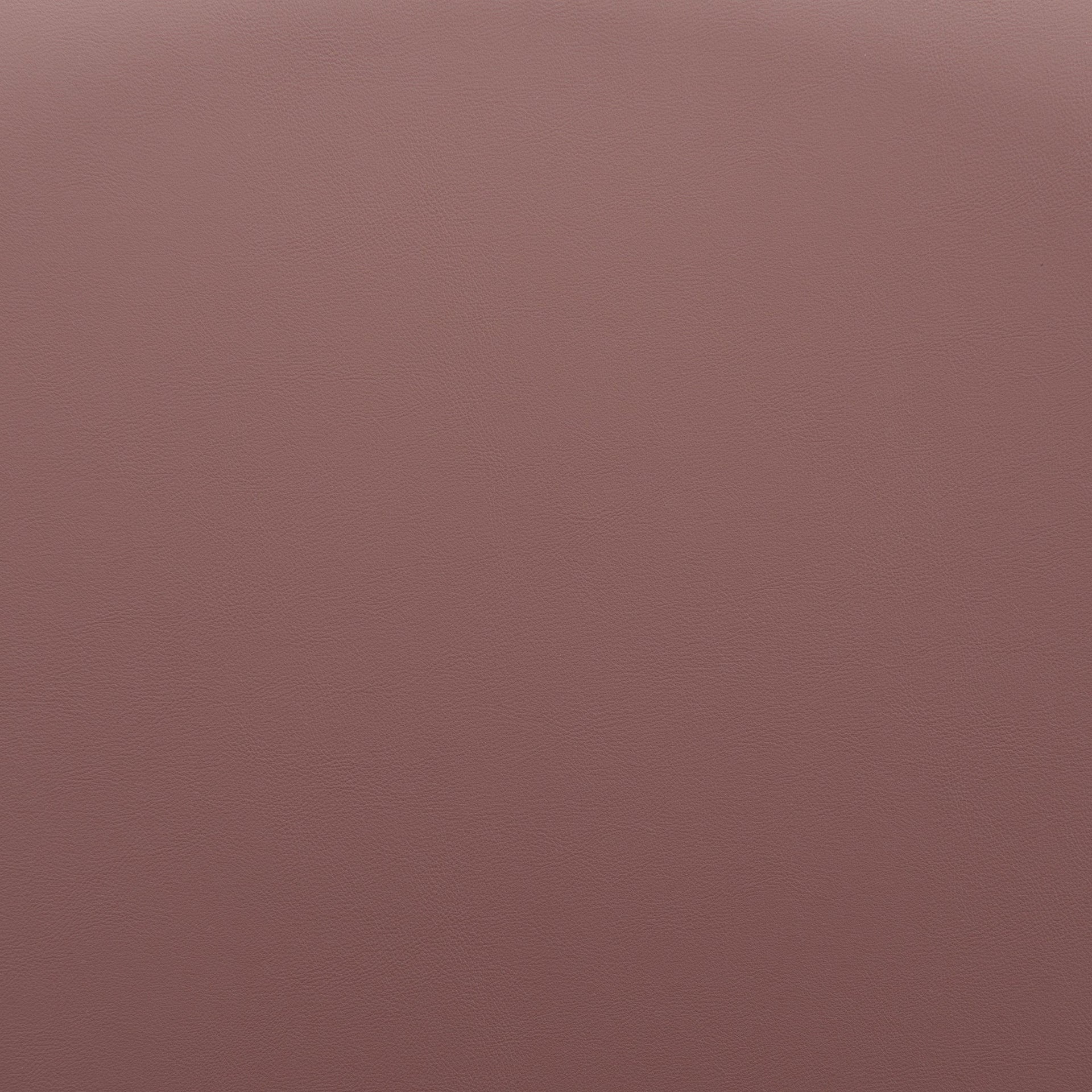 Elevate Barstool (Set of 2) Brown