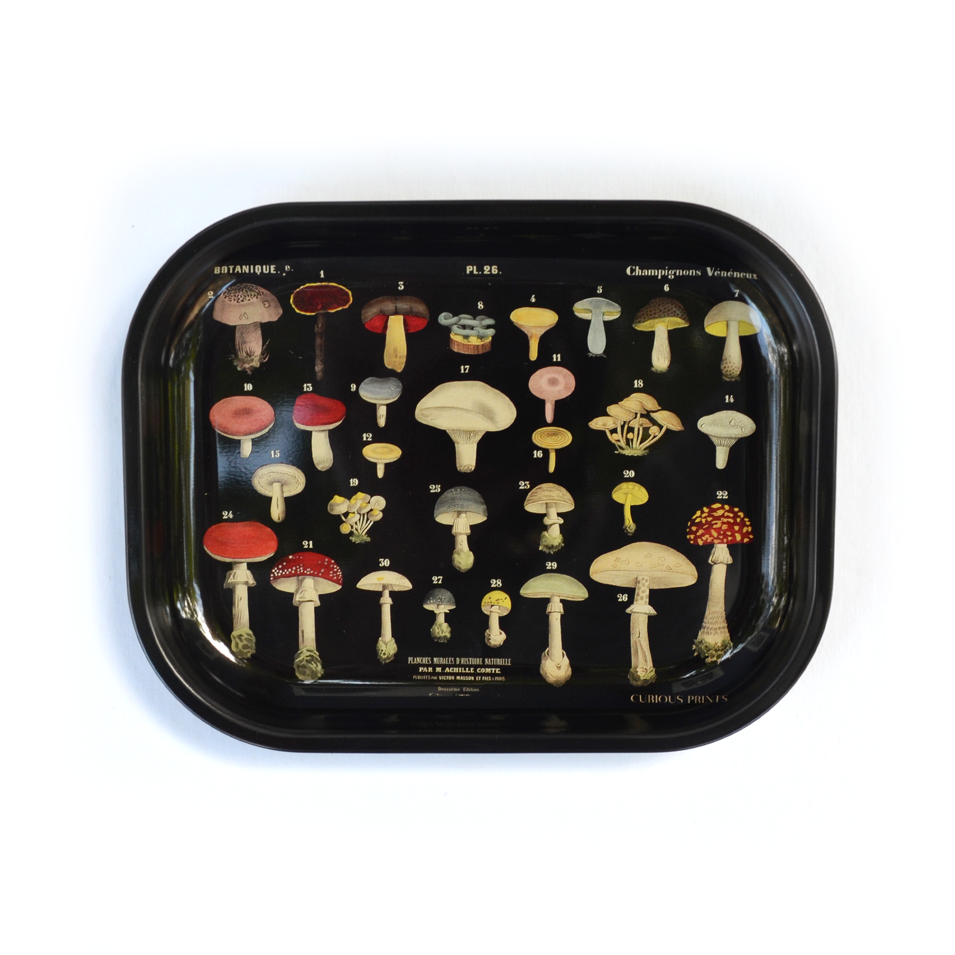 Mushroom Ritual Tray - Small Metal Black Vintage Scientific Illustration Tray