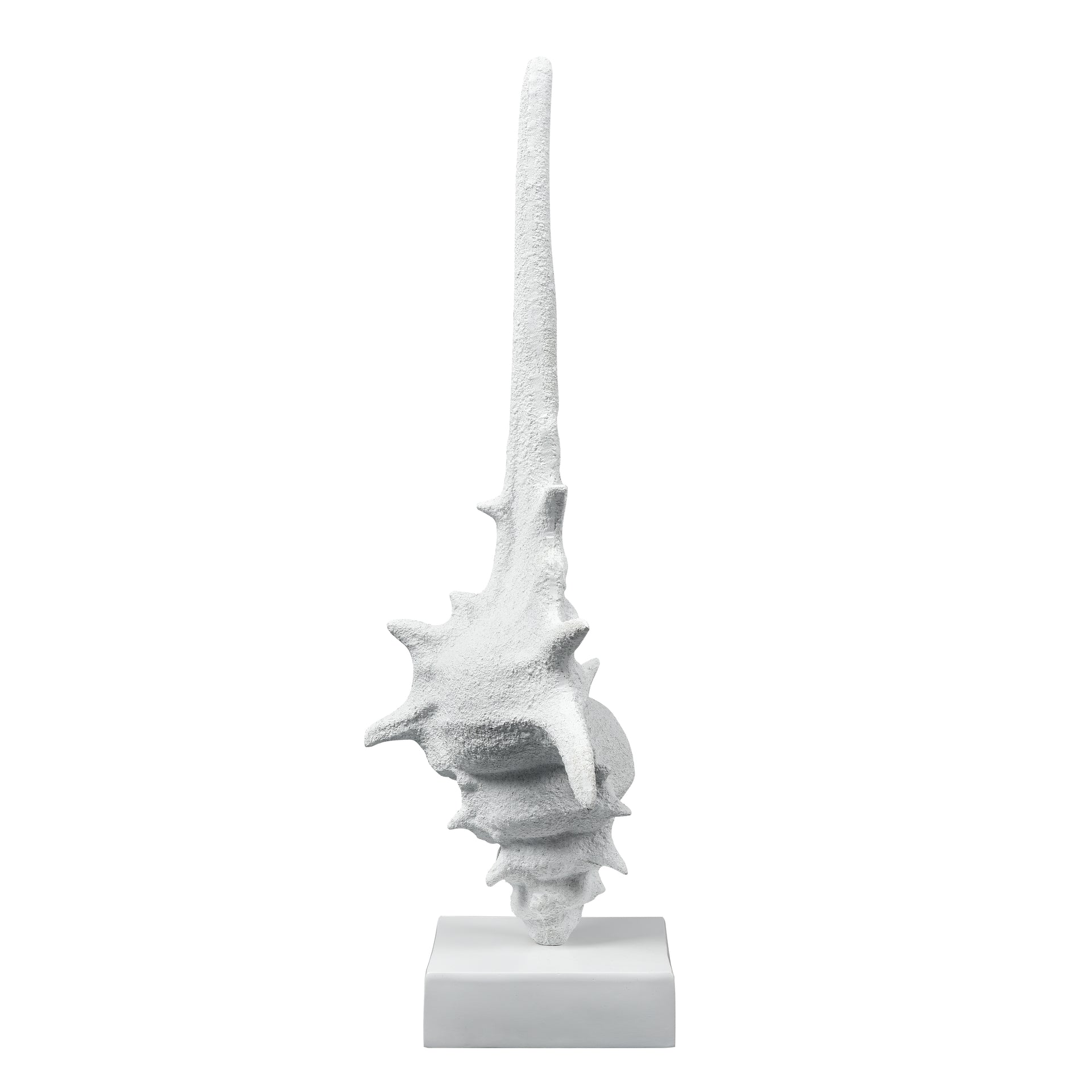 Tigertail Shell - Textured White