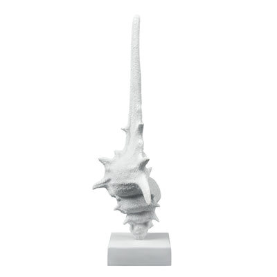 Tigertail Shell - Textured White