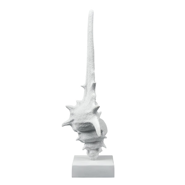 Tigertail Shell - Textured White