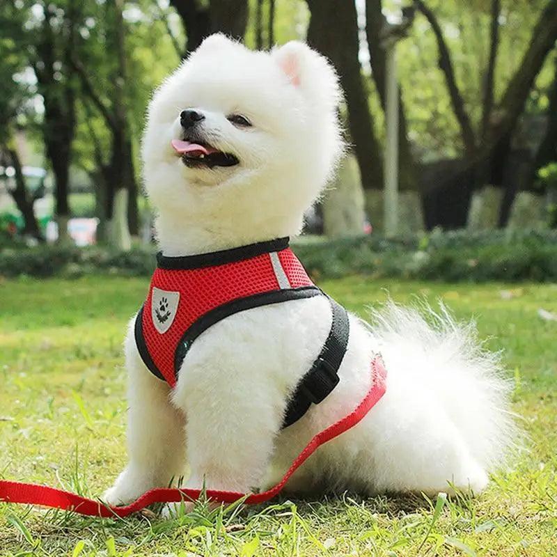 Adjustable Dog Harness No-Pull Pet Harness Soft Padded Dog Vest Reflective No-Choke Pet Vest With Easy Control Handle
