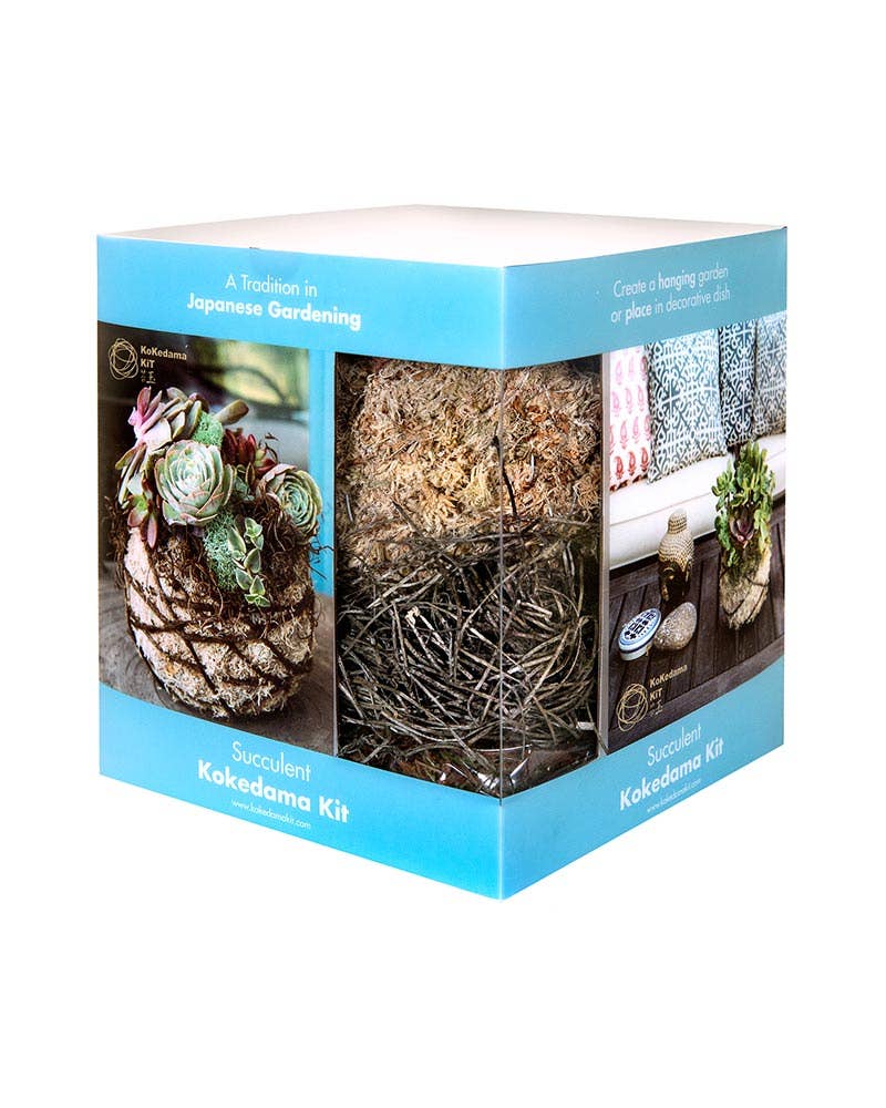 Succulent Kokedama Kit - Build Kokedama at Home | 6in Moss Ball Kit