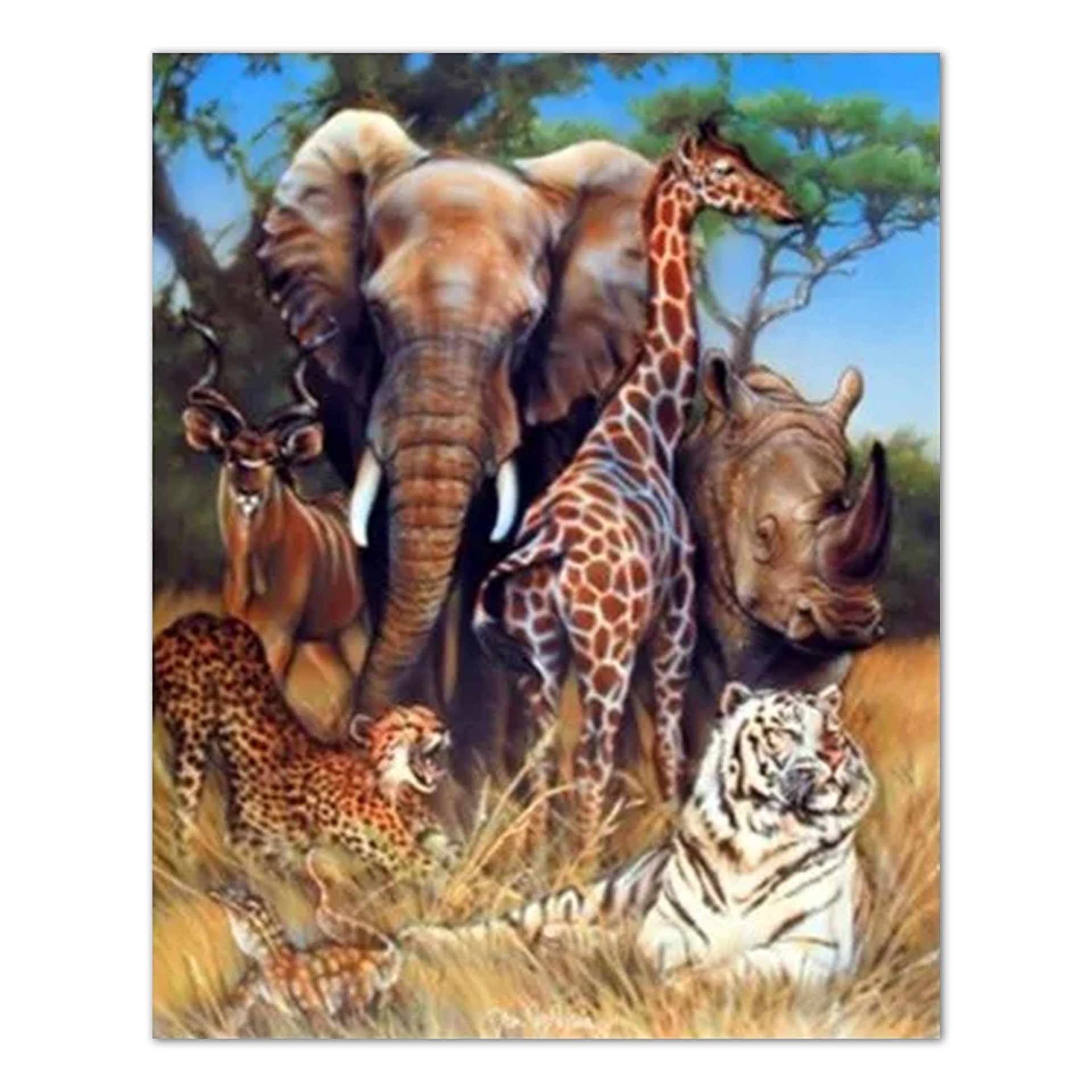 Safari Animals Poster – Exotic Wildlife Wall Art 16x20 Ready to Frame Print