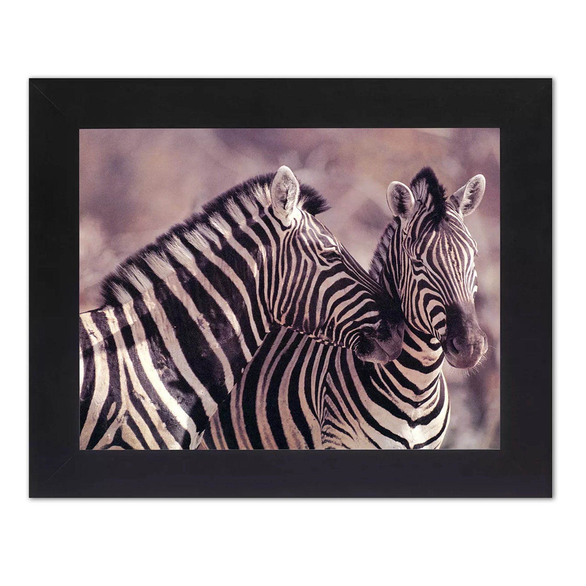 Framed Zebra Wall Art – Striped Zebra Print 8x10 in Black Wood Frame