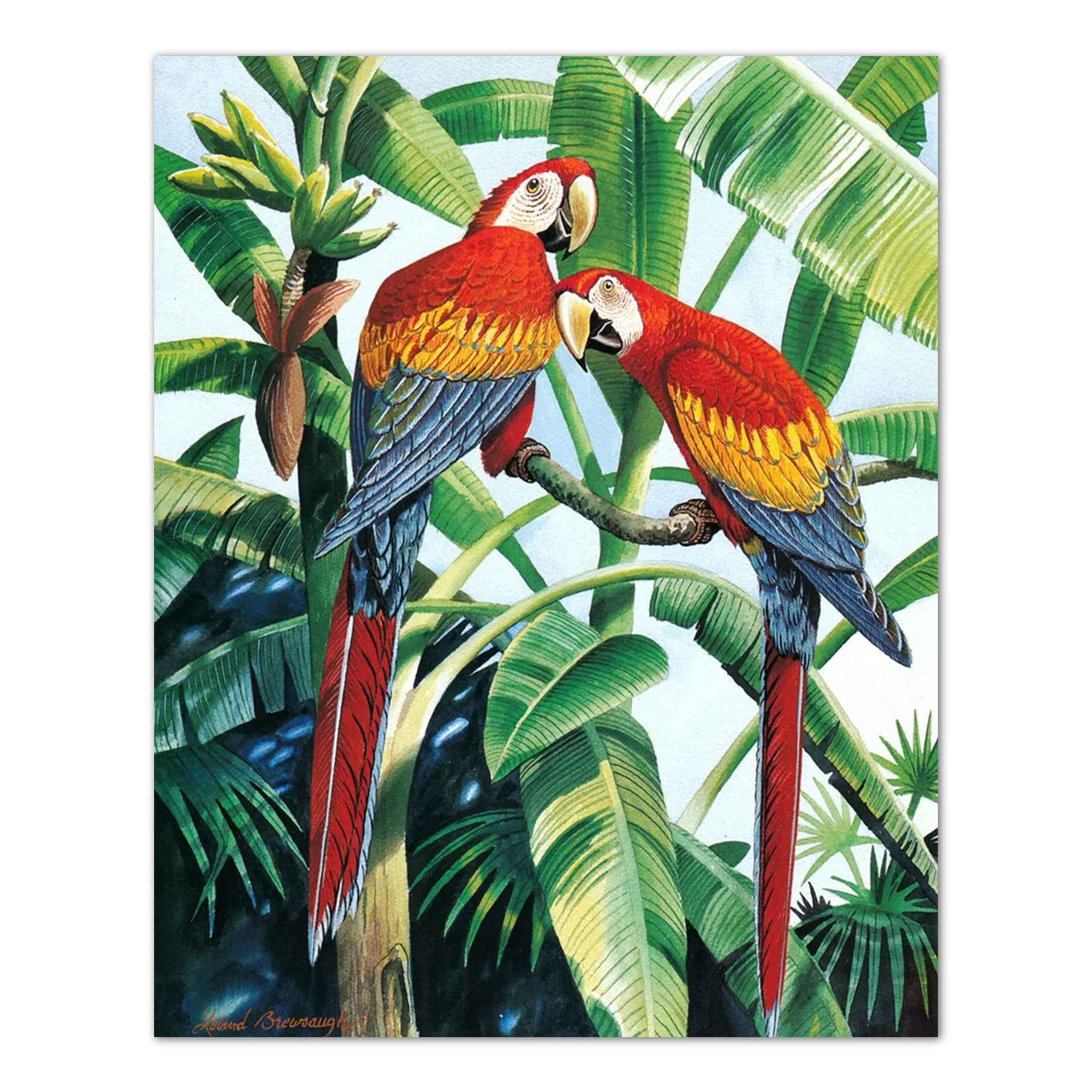 Scarlet Macaw Art Print – 8x10 Tropical Bird Decor With Palm Tree Artwork
