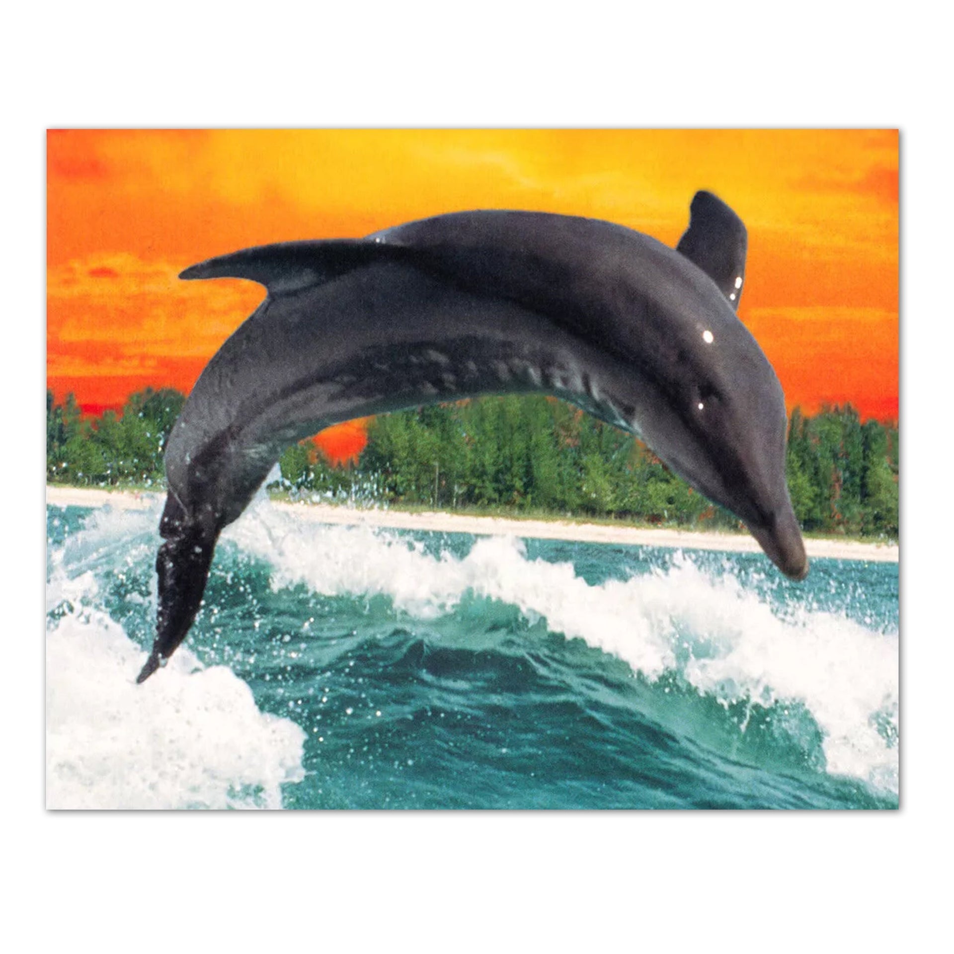 Dolphin Art Print – 8x10 Inch Vivid Lithograph Wall Art Featuring Marine Life