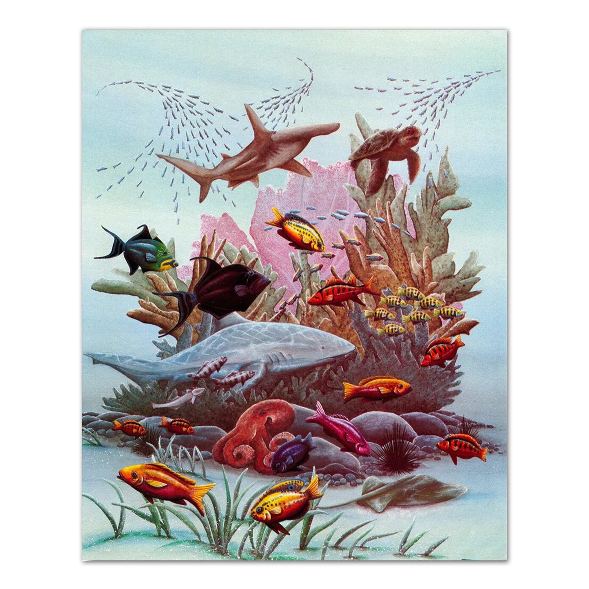 Ocean Wall Art – Marine Art Print Featuring Sharks, Turtles & Striped Fish 8x10
