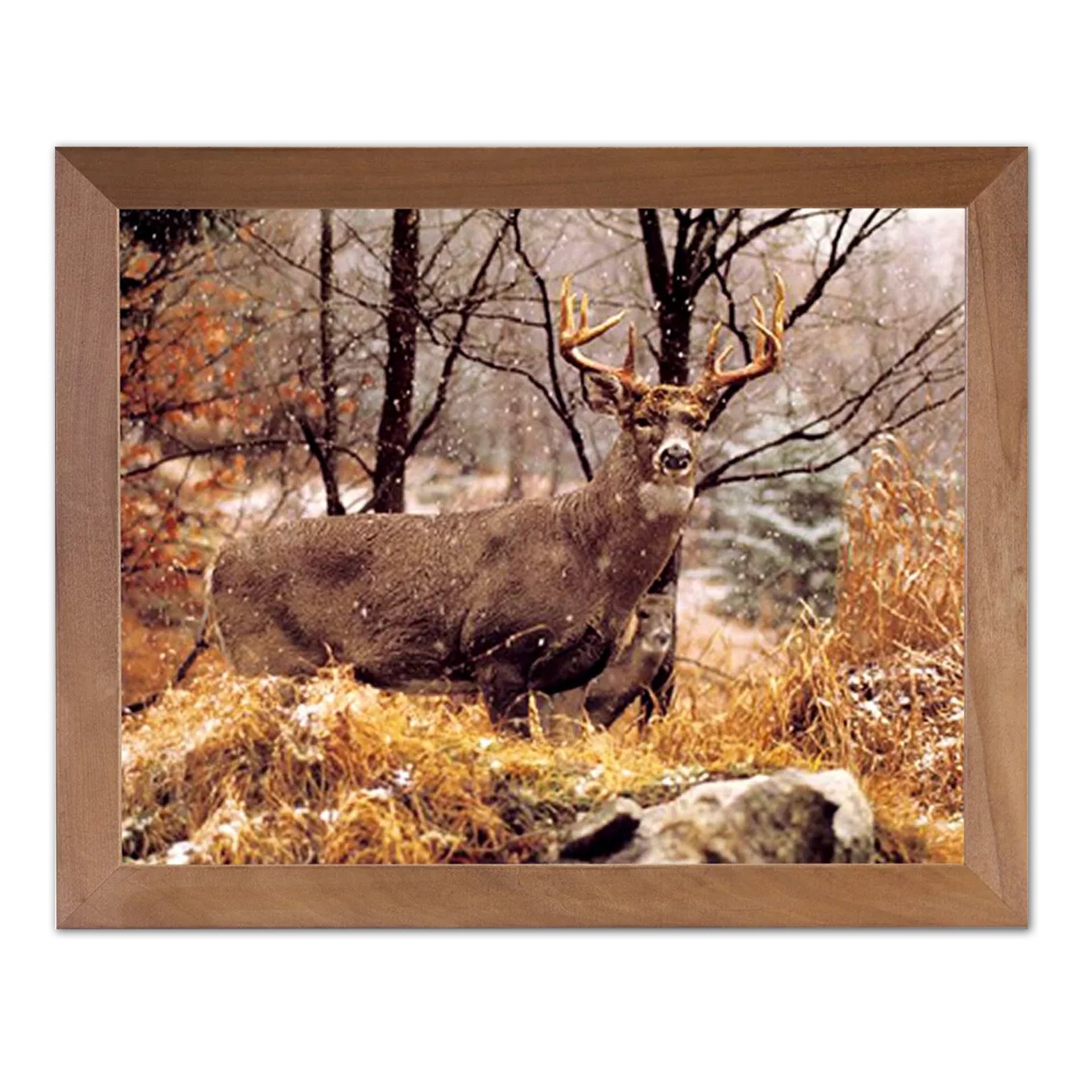 Deer Wall Art – Whitetail Deer Outdoor Wall Picture | Honey Finish Wood Frame