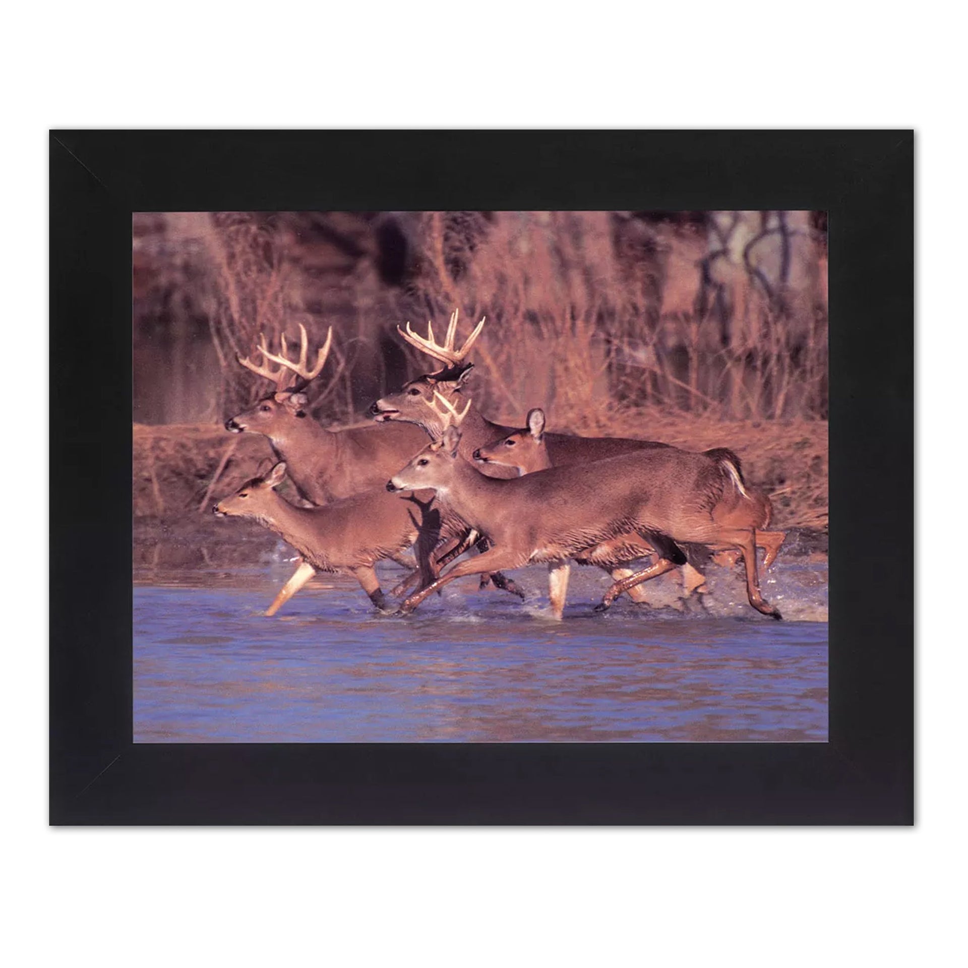 Deer Framed Wall Art – 8x10 Lake Deer Artwork with Black Wood Frame & Real Glass