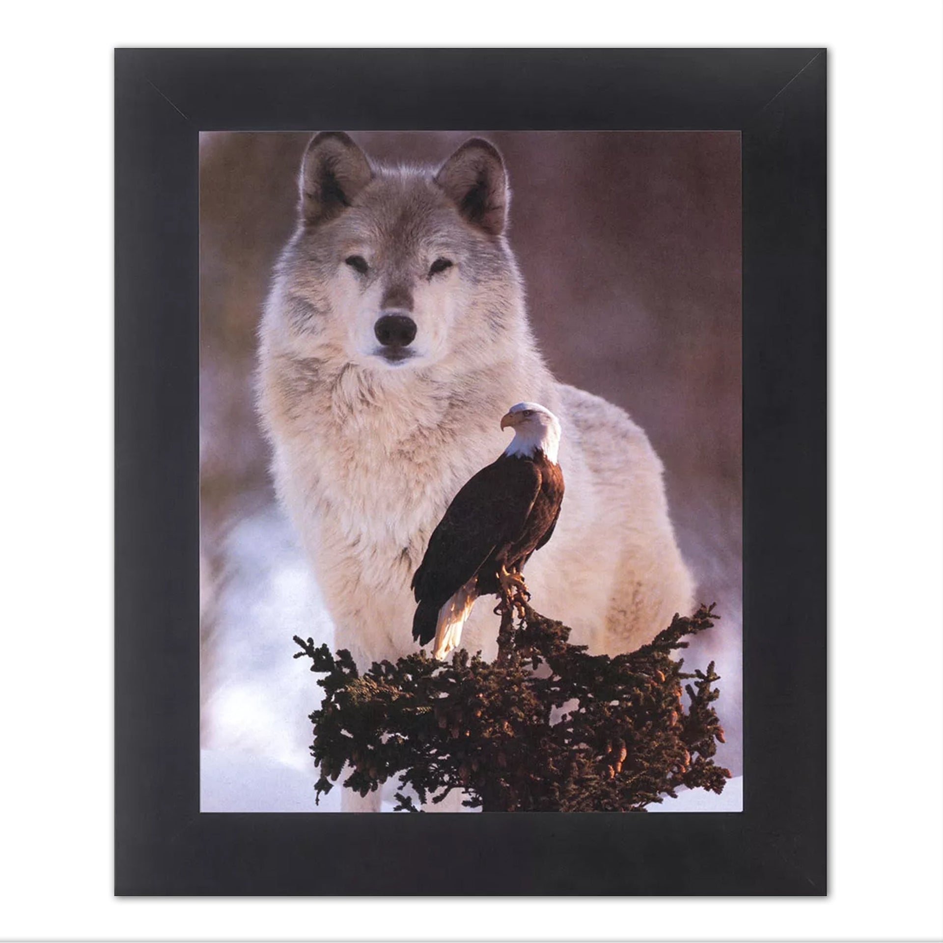 Framed Wall Art - American Bald Eagle & Gray Wolf Photo Wall Picture, Black Wood Frame