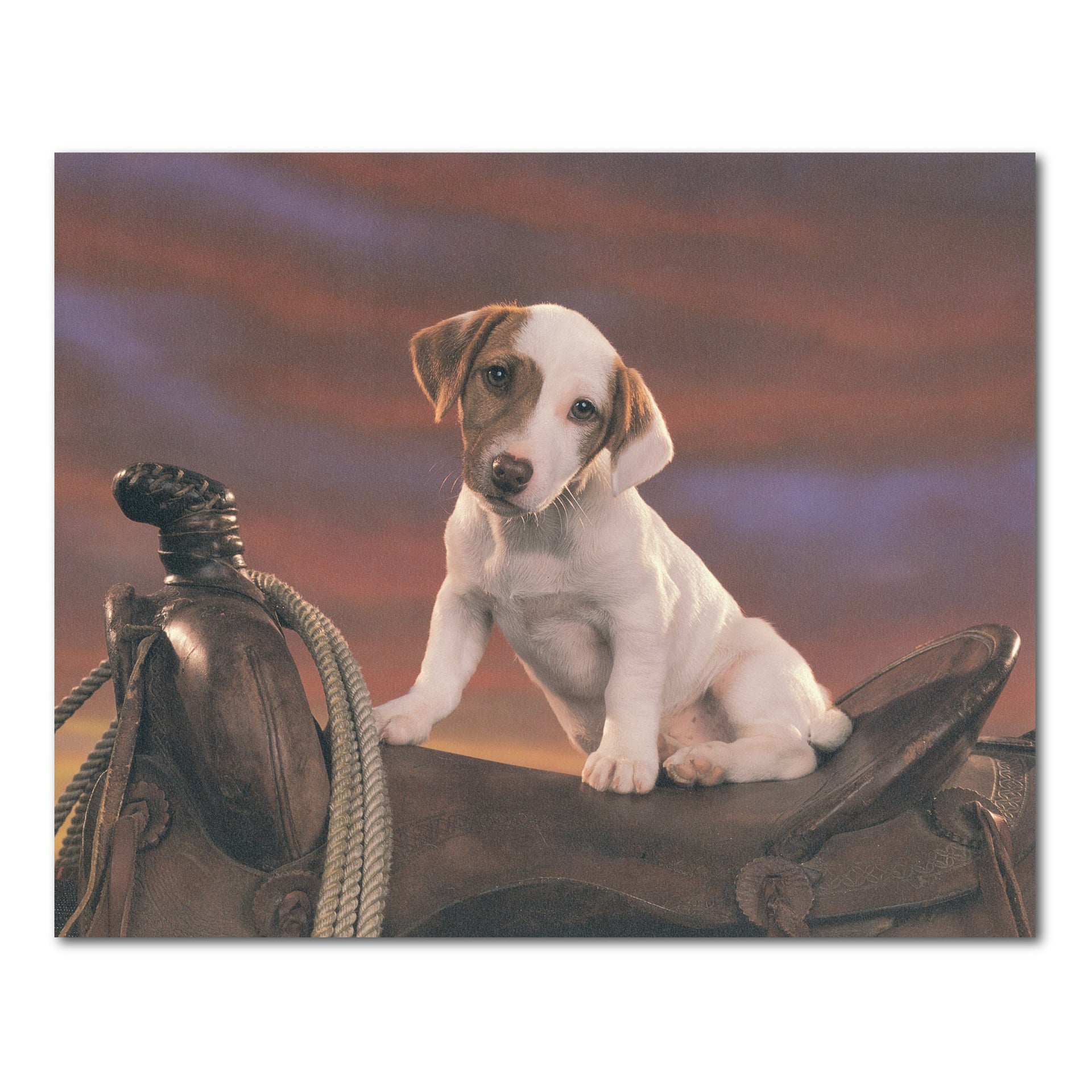 Western Cowboy Art Print – 16x20 Rodeo Wall Art With Dog & Saddle Decor