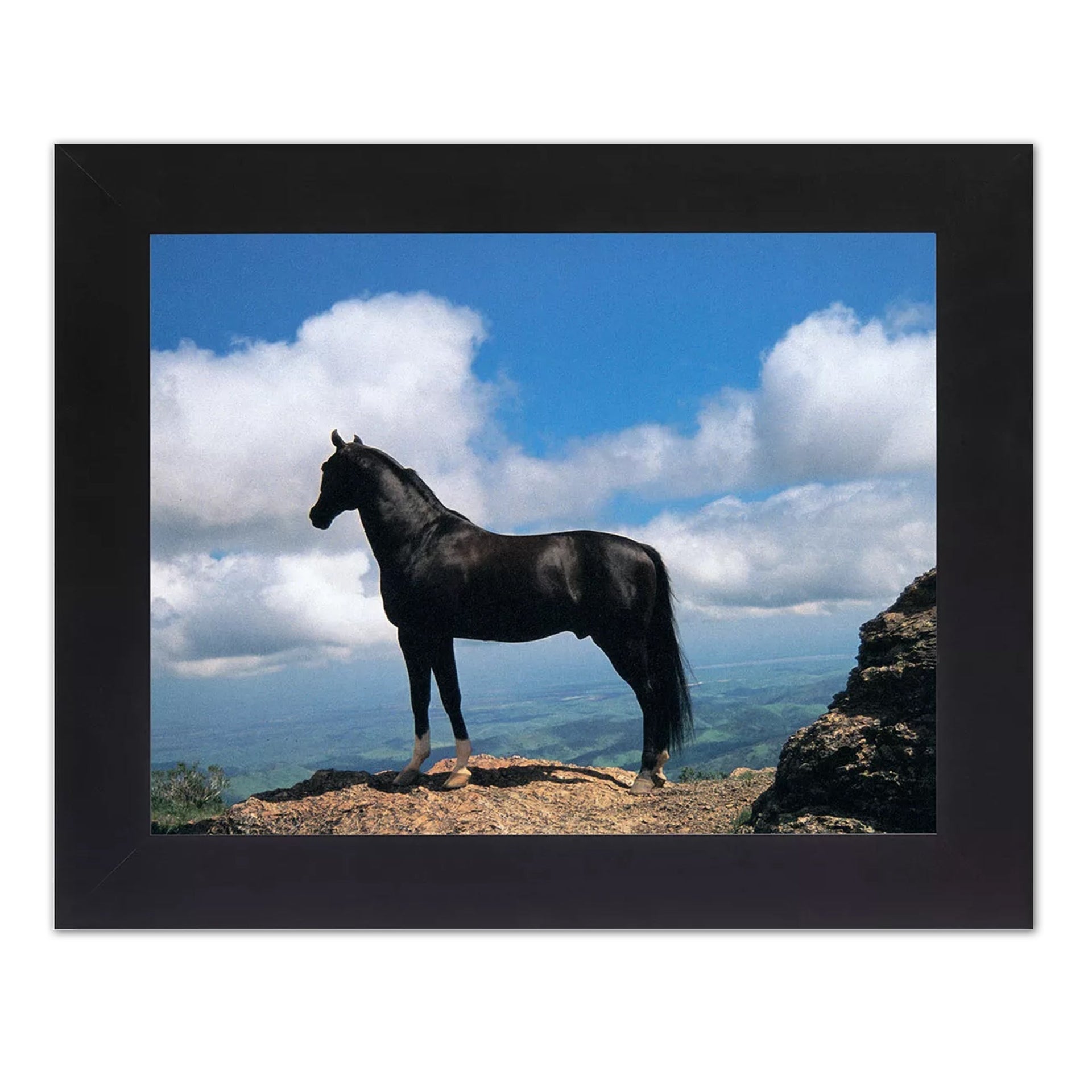 Black Stallion Wall Art – Framed Western Horse Print 8x10 With Real Glass Frame