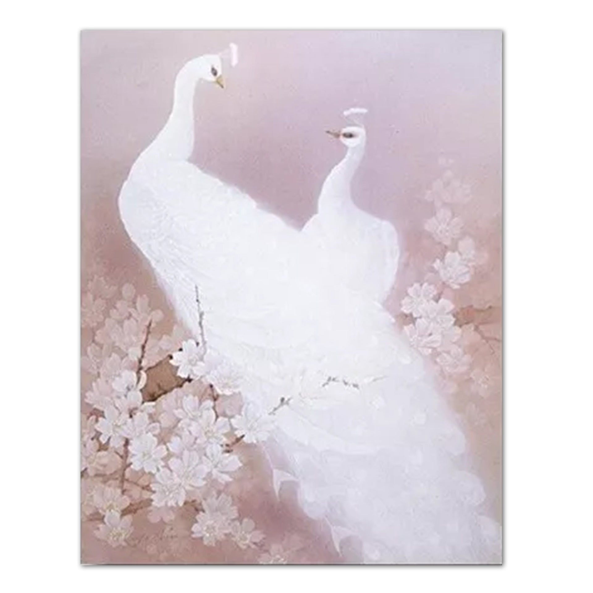 Peacocks Wall Art – Exotic Bird Print 16x20 Ready to Frame Flower Decor