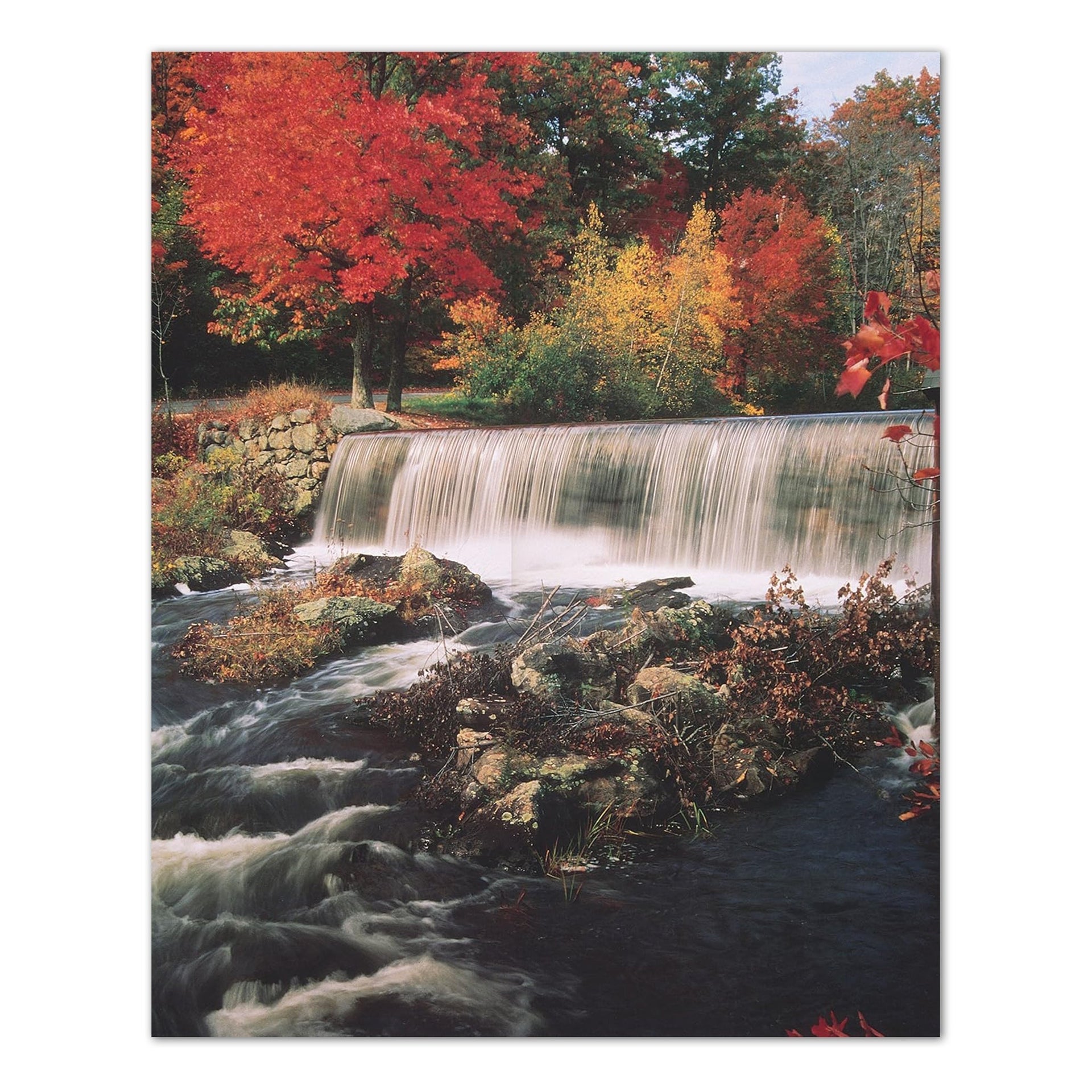Waterfall Wall Art – Scenic Fall Trees Nature 16x20 Art Print for Home Decor