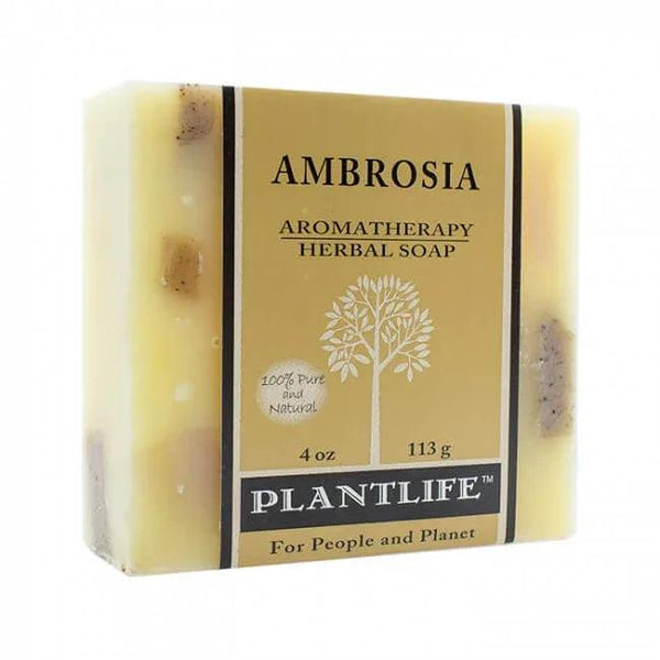 Ambrosia Bar Soap - Gifts for You 'n Me