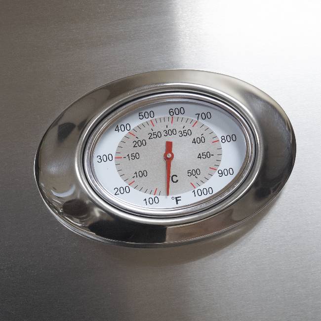 American Outdoor Grill 30NBL L-Series 3-Burner Built-In Natural Gas Grill W/ Rotisserie Kit, 30