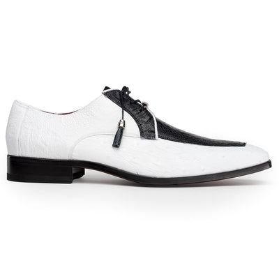 Andretti Black / White