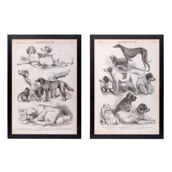 Antique Dog Art Prints in Black Wood Frames (Set of 2)