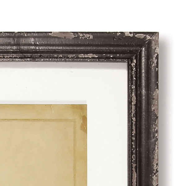 Antique Framed Botanical Fern Prints (Set of 8)