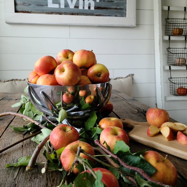 Antler Pedestal Bowl Arthur Court Designs