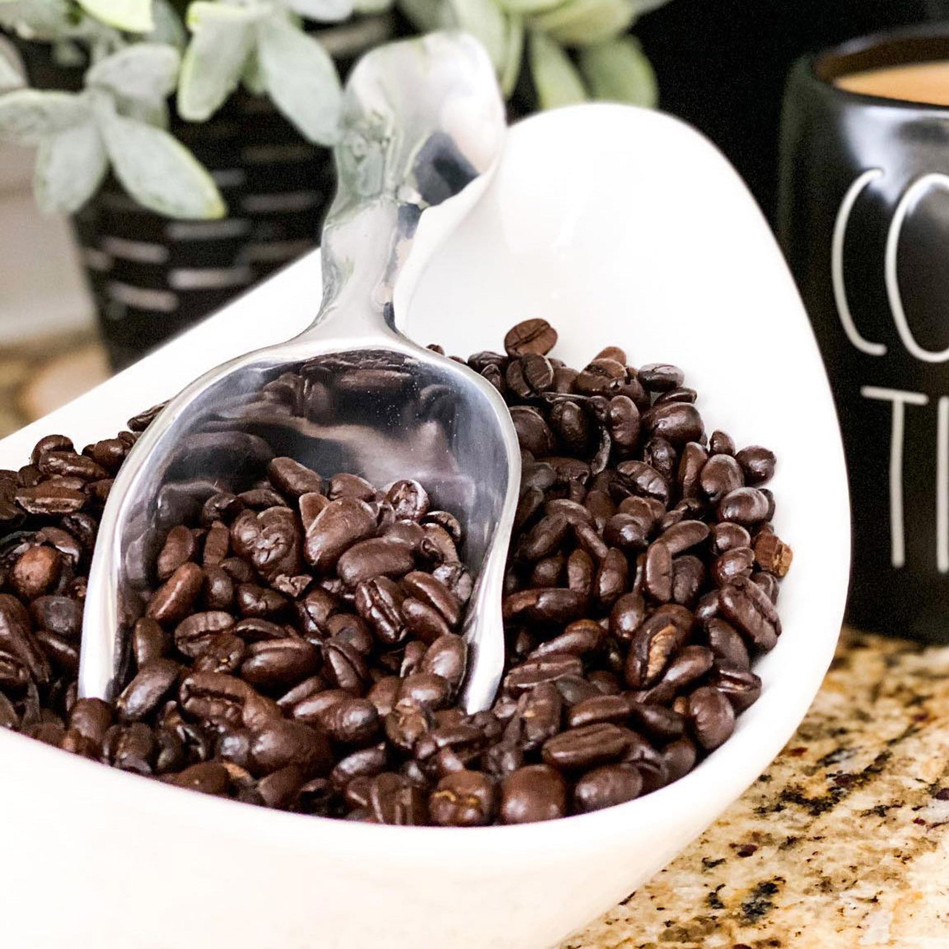 Carmel Ice Scoop Arthur Court Designs