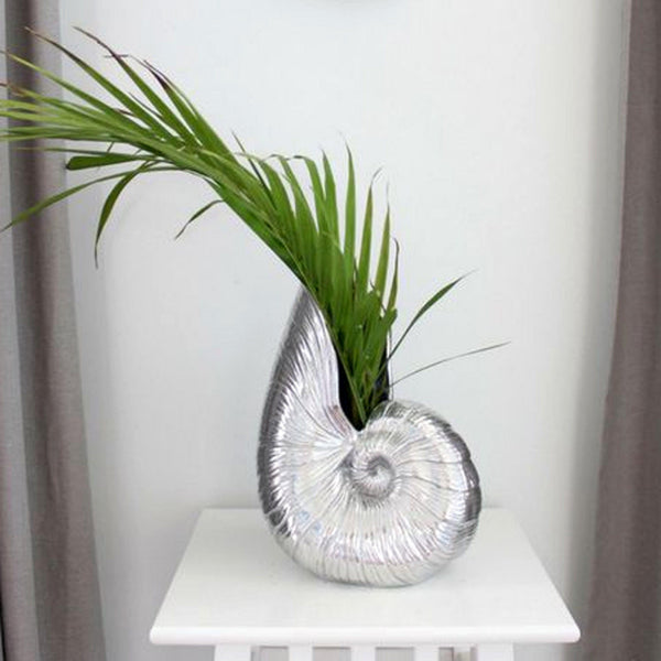 Shell Pitcher