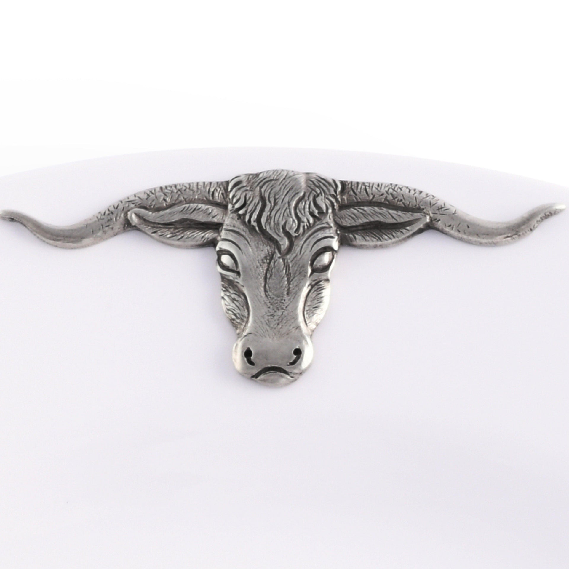 Longhorn Melamine Lunch Plates - Set of 4