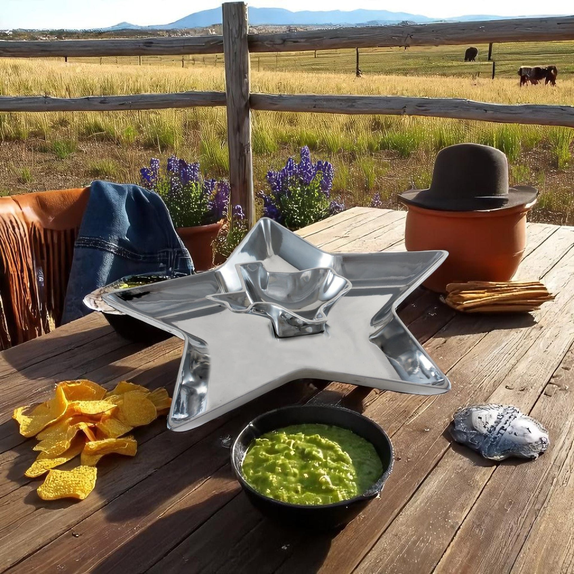 Texas Chip and Dip Arthur Court Designs