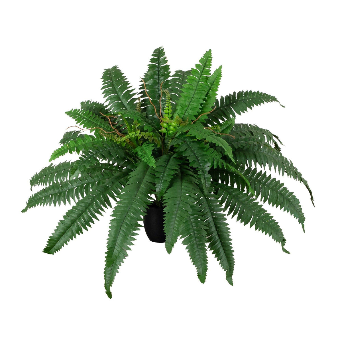 24” Artificial Self-Shaped Boston Fern Plant in Black Planter