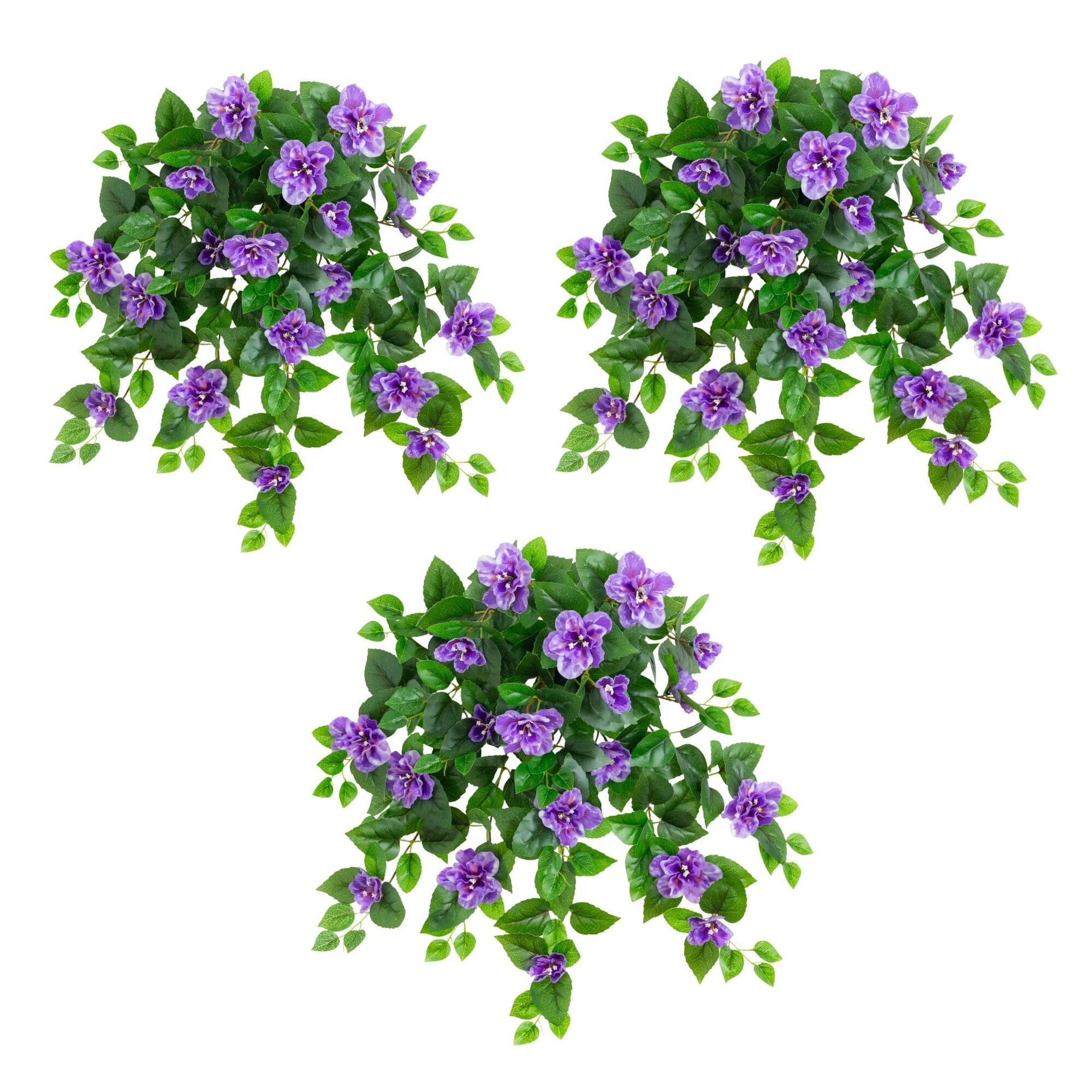24
