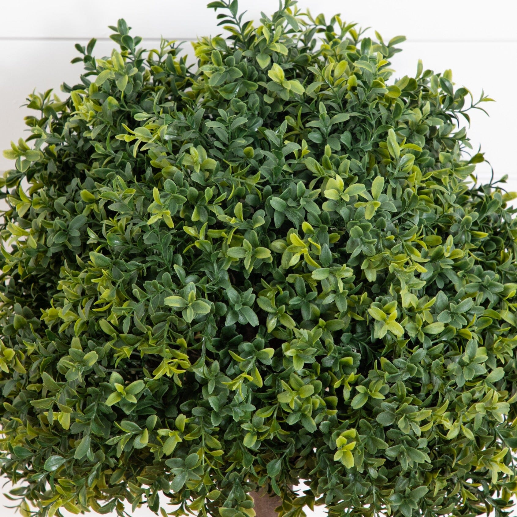 27” UV Resistant Artificial Boxwood Topiary with Integrated Ground Stake (Indoor/Outdoor) - Set of 2