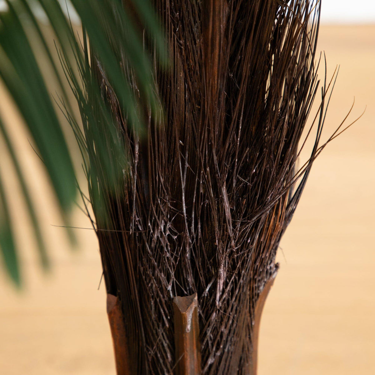 3’ Cycas Palm Tree UV Resistant (Indoor/Outdoor)