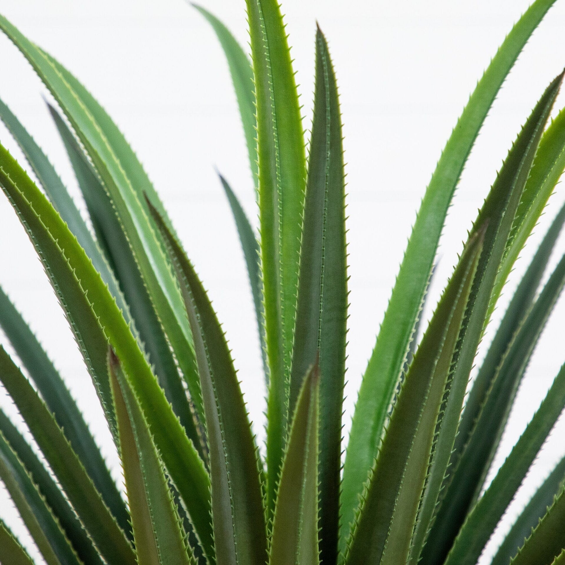 4' UV Resistant Artificial Spiked Agave Plant in White Tower Planter (Indoor/Outdoor)