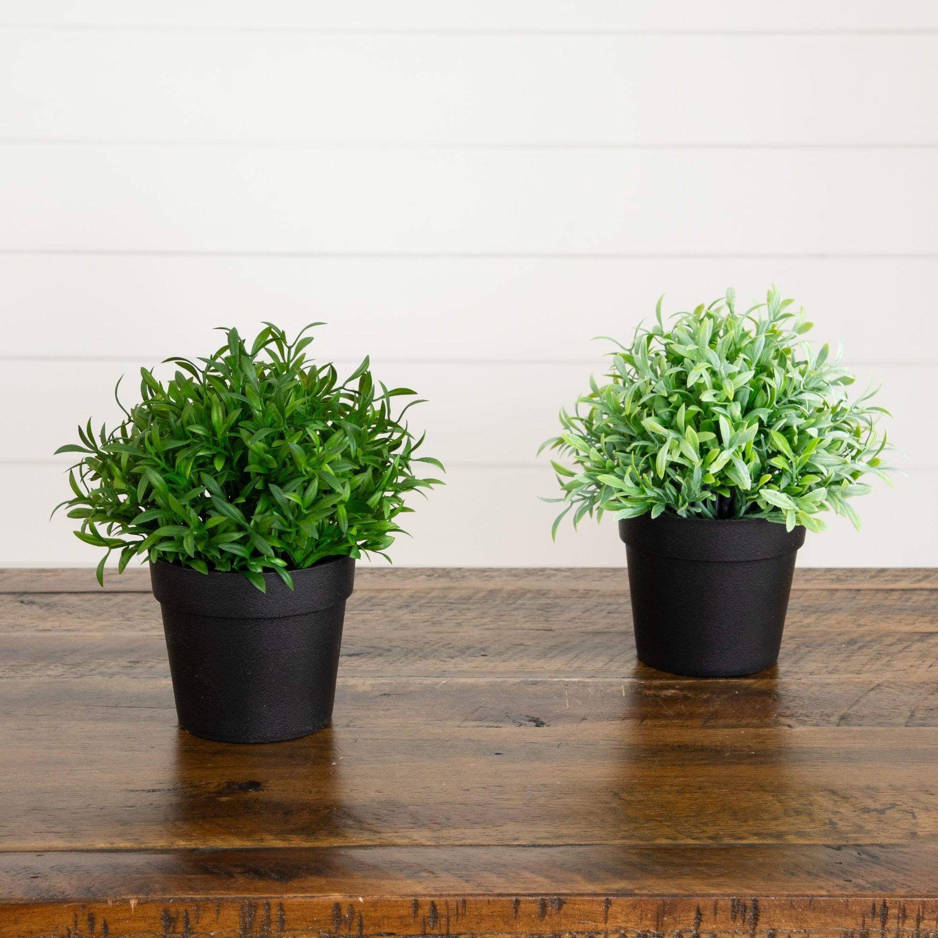 6” Artificial Grass Plant in Black Pot - Set of 2
